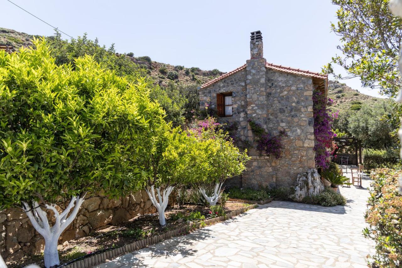 فيلا Agia Paraskevi في Manolis' House المظهر الخارجي الصورة