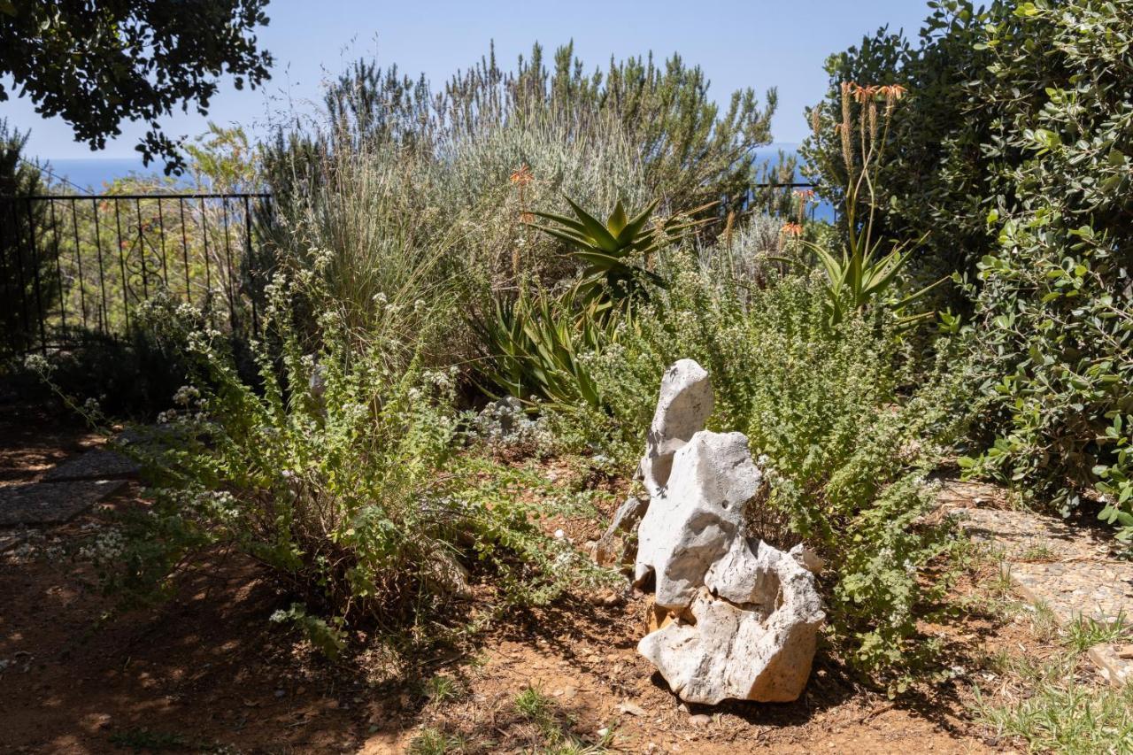 فيلا Agia Paraskevi في Manolis' House المظهر الخارجي الصورة