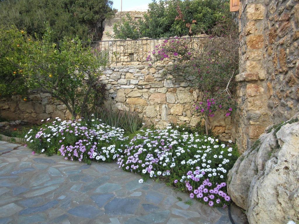 فيلا Agia Paraskevi في Manolis' House المظهر الخارجي الصورة